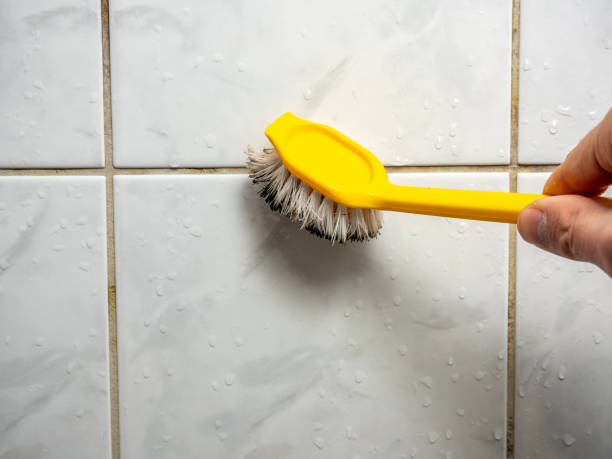 Best Mold Removal Near Me  in Lofall, WA