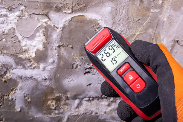 Best Black Mold Removal  in Lofall, WA