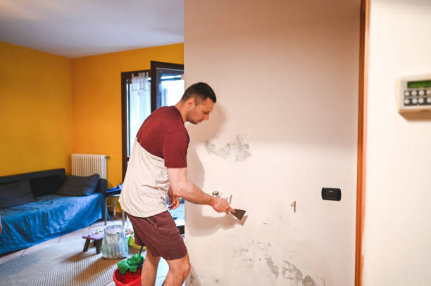 Best Mold Remediation Experts  in Lofall, WA